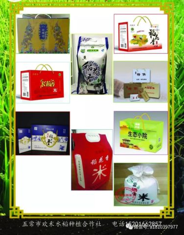 创业路上的农民代言人 陈鹏的奋斗与期盼